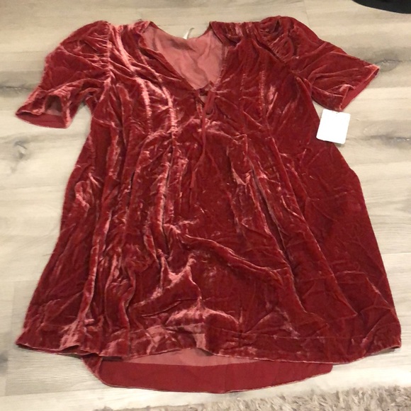 Free people NWT velvet tunic top - Picture 4 of 5